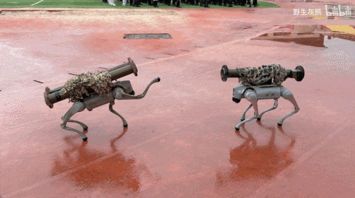 大学军训越来越硬核:步坦协同、火箭筒都来了