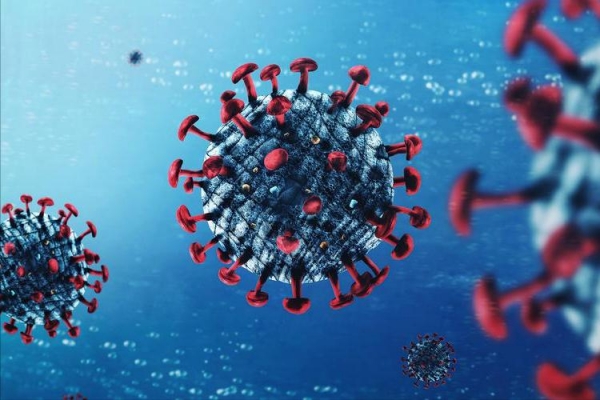 亚洲东部现尼帕病毒感染,致死率高传播广,普通人咋防护?