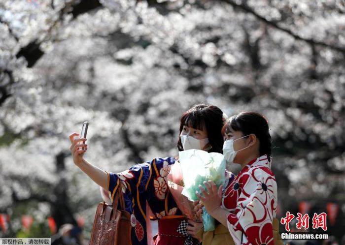 日本多地疫情反弹 赏樱人潮涌动疫情趋势再度增加