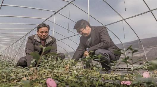 新形势下我国疫情防控不放松、不焦虑、不停步,优化防控措施