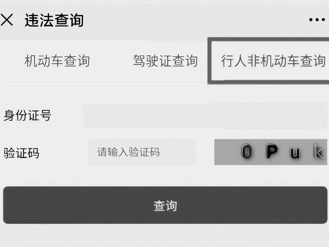 电动车、摩托车违章会被电子眼抓拍吗?多地交警给出答案