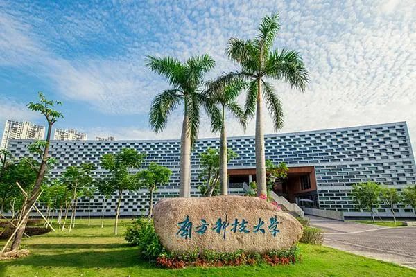 2025年深圳各高校本科高考招生计划亮点及特色汇总