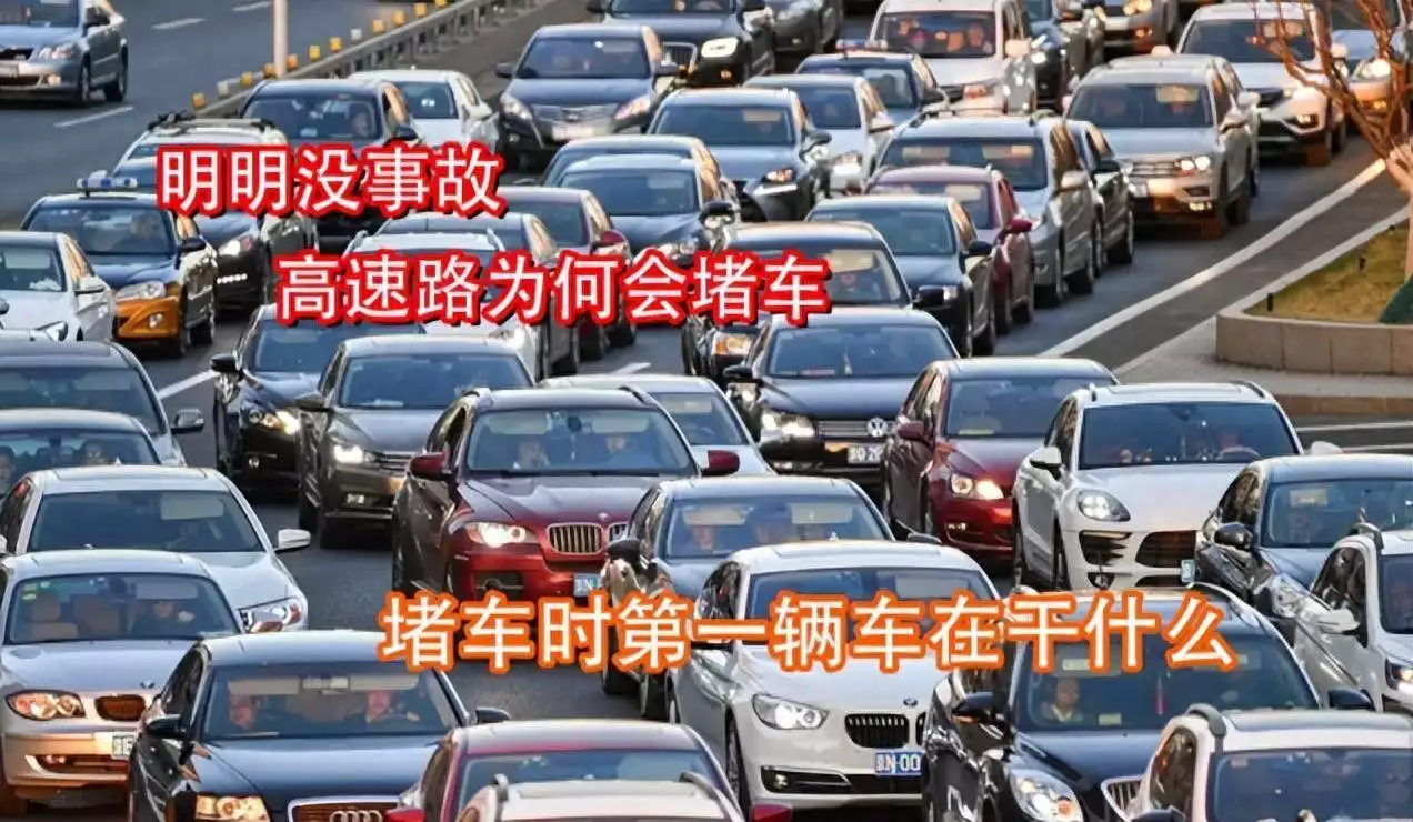 高速节假日免费致拥堵，老司机揭秘出行扎堆堵车真相