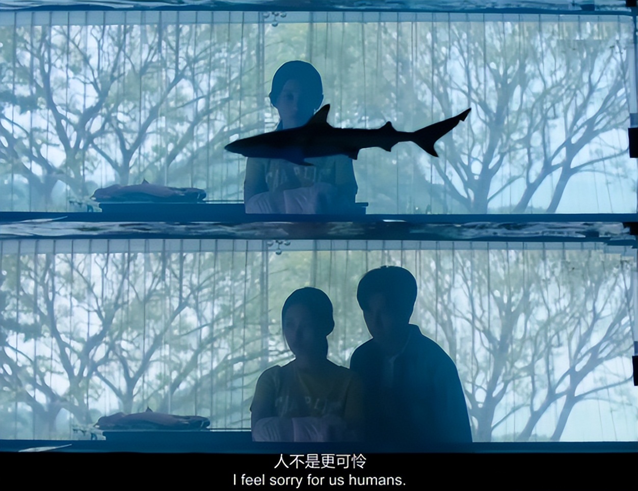 当代青少年社交遇障碍,渴望朋友却不知如何沟通?