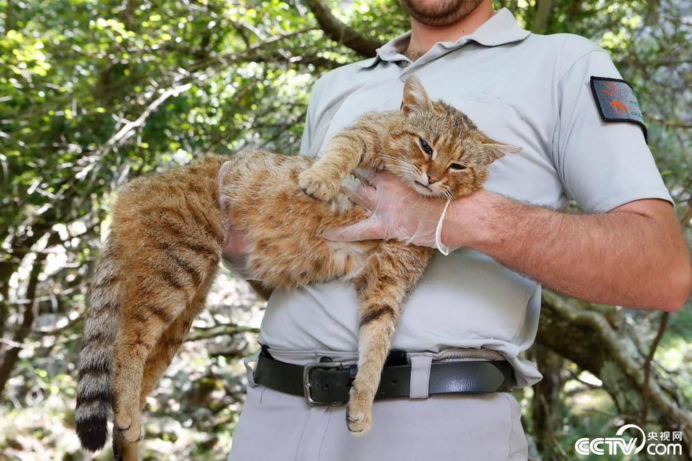 明日起各地陆续公布2019年高考成绩及多地阅卷细节