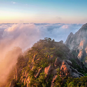 高速上撞死违停行人 交警说我几乎无责 要赔吗