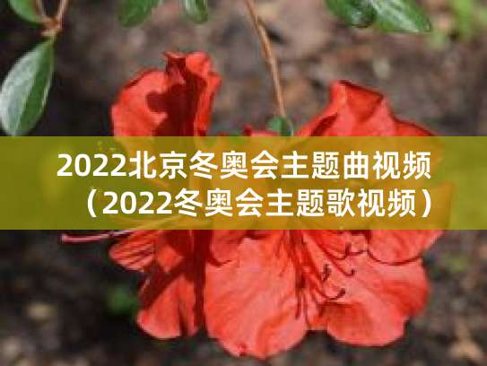 冬奥会主题曲是哪首？一起向未来和冰雪舞动有区别